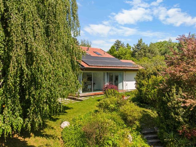 Haus, umgeben von majestätischen Bäumen