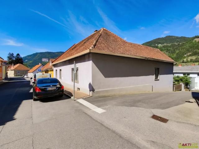 Haus Unzmarkt Unzmarkt 105307666