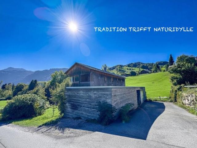 Haus Vorarlberg Vorarlberg 105908326