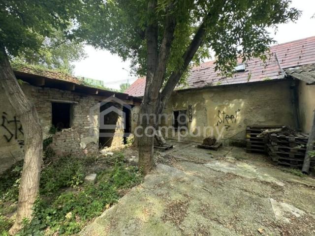 Haus Wien Wien 102524772