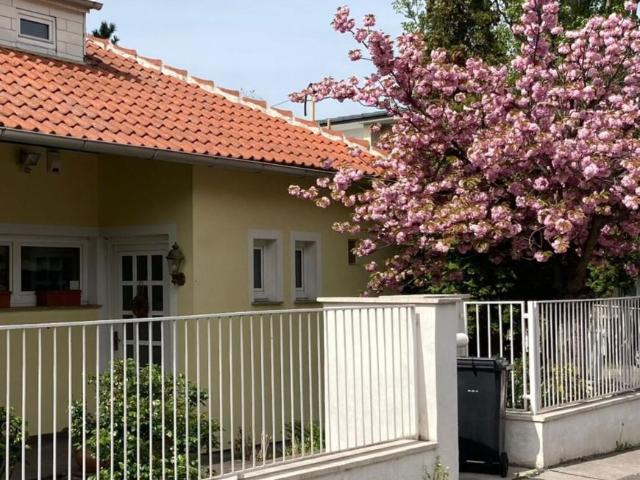 Haus Wien Wien 105545120