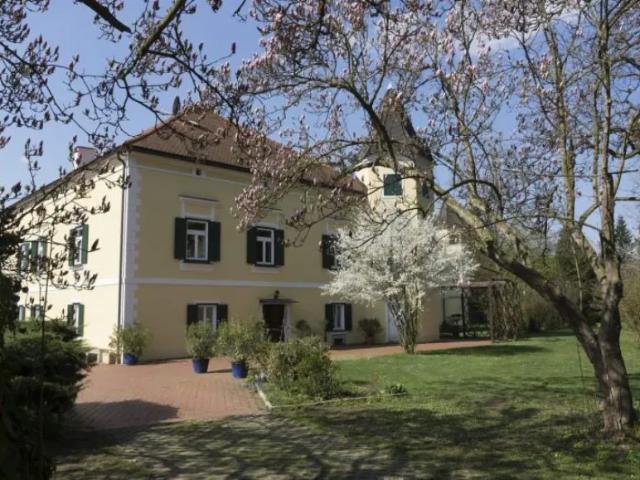 Haus Wildon Wildon 105465731
