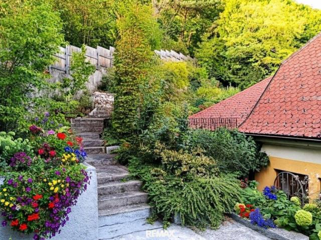 Haus zu mieten beim Kurpark