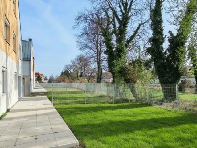 Haus Zu Vermieten Ebenfurth Ebenfurth 1392 ES103155360