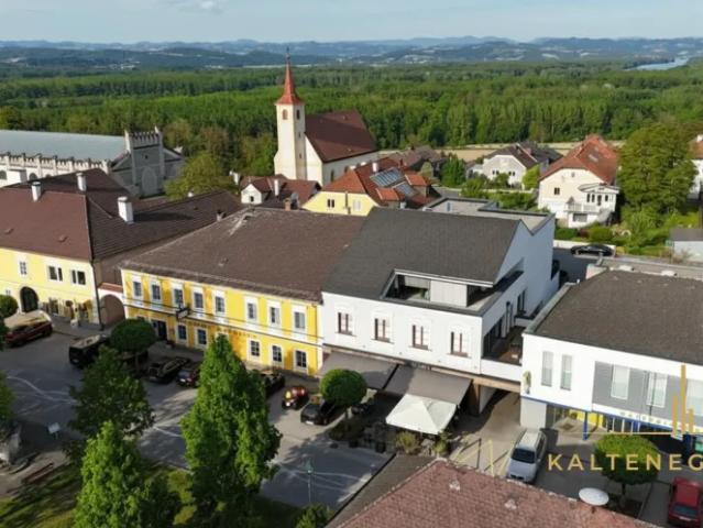 Haus Zu Verkaufen Wallsee Wallsee 2190000 ES105003731