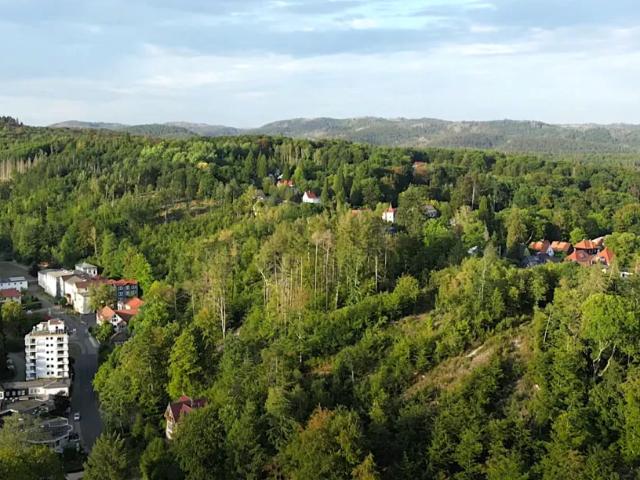 Haus Zu Verkaufen Bad Sachsa Bad Sachsa 395000 ES103149041