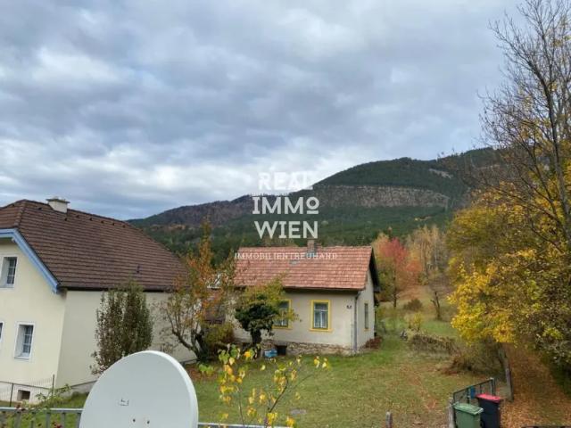 Haus Zu Verkaufen Grünbach Am Schneeberg Grünbach Am Schneeberg 148000 ES105197715