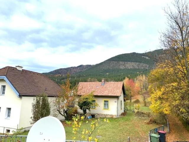 Haus Zu Verkaufen Grünbach Am Schneeberg Grünbach Am Schneeberg 148000 ES103149035