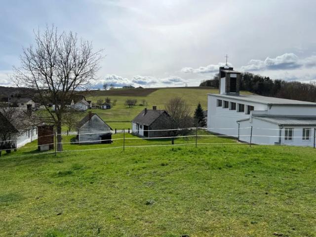 Haus Zu Verkaufen Inzenhof Inzenhof 68000 ES105184760