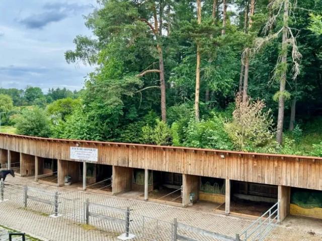 Haus Zu Verkaufen Lichtenau Im Waldviertel Lichtenau Im Waldviertel 670000 ES103428317