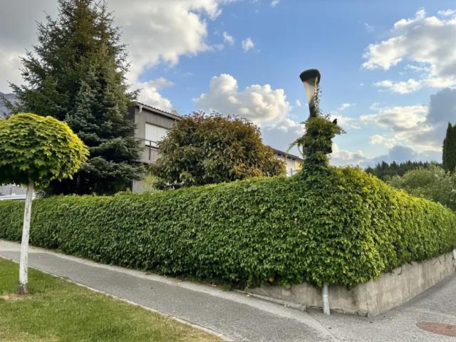 Haus Zu Verkaufen Mils Mils 799000 ES105466024