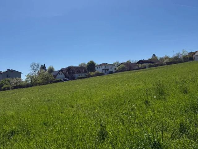 Haus Zu Verkaufen Neuhofen An Der Krems Neuhofen An Der Krems 443720 ES103394661