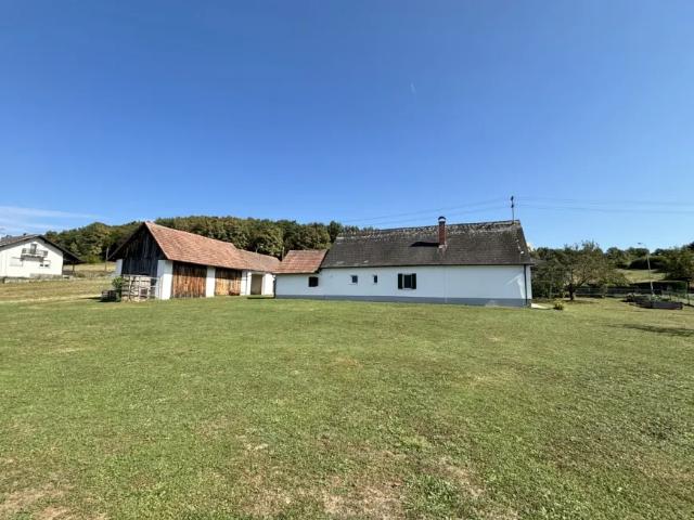 Haus Zu Verkaufen Reinersdorf Reinersdorf 167000 ES105184717