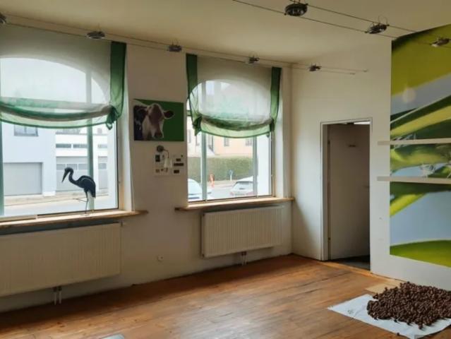 Haus Zu Verkaufen Schwarzenau Schwarzenau 299000 ES104321516