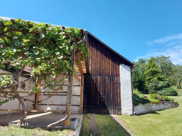 Haus Zu Verkaufen Senftenberg Senftenberg 410000 ES105529752