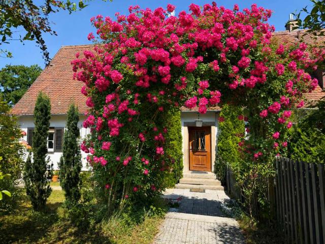 Haus zum Kaufen in Coburg Cortendorf 459.000,00 EUR 115 m²