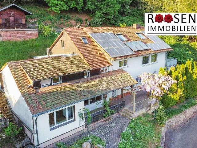 Haus zum Kaufen in Annweiler 350.000,00 EUR 232 m²