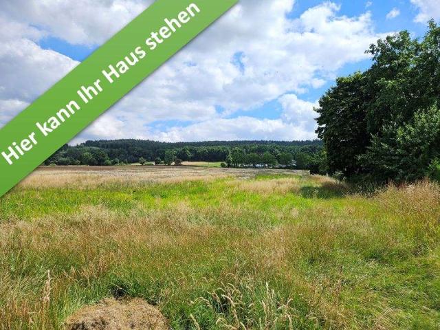 Haus zum Kaufen in Altenhagen 391.350,00 EUR 133 m²