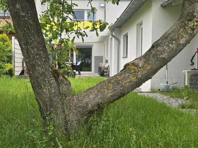 Haus zum Kaufen in Alsdorf 529.000,00 EUR 260 m²