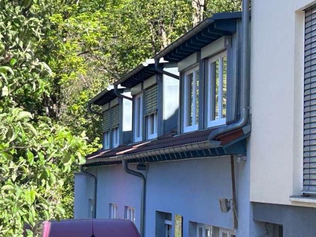 Haus zum Kaufen in Au 995.000,00 EUR 534.77 m²