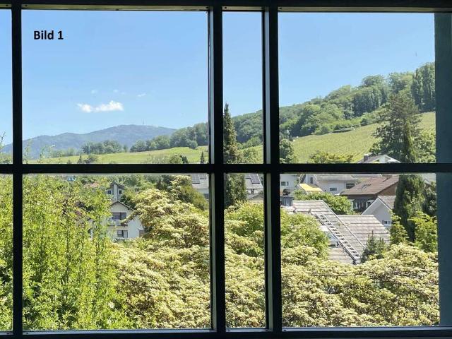 Haus zum Kaufen in Auggen 977.000,00 EUR 373 m²
