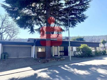 Haus zum Kaufen in Bobenheim am Berg 745.000,00 EUR 392 m²