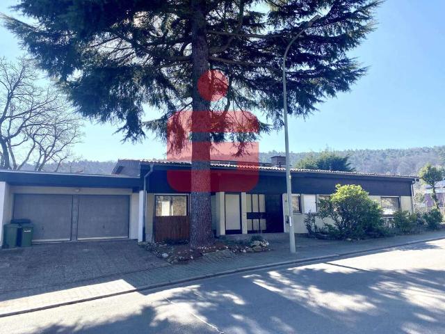 Haus zum Kaufen in Bobenheim am Berg 745.000,00 EUR 392 m²