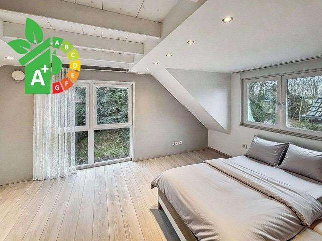 Haus zum Kaufen in Bochum 485.000,00 EUR 143 m²