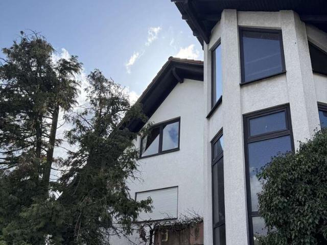 Haus zum Kaufen in Böhl Iggelheim 793.000,00 EUR 319 m²
