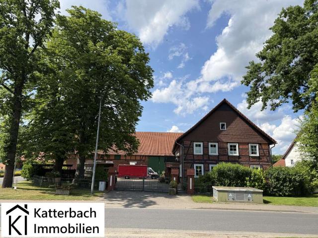 Haus zum Kaufen in Bornum 350.000,00 EUR 359 m²