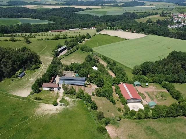 Haus zum Kaufen in Battweiler 1.300.000,00 EUR 321.4 m²