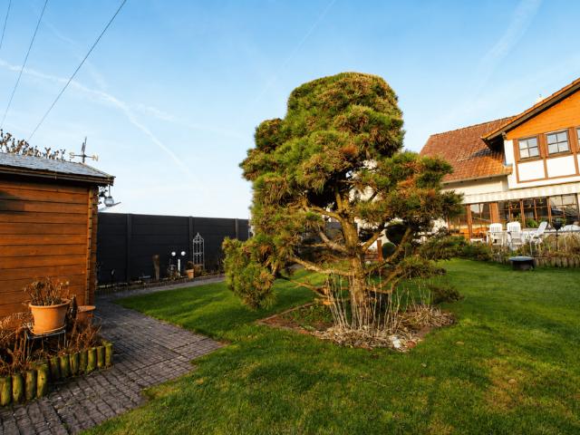 Haus zum Kaufen in Babenhausen 498.000,00 EUR 120.23 m²