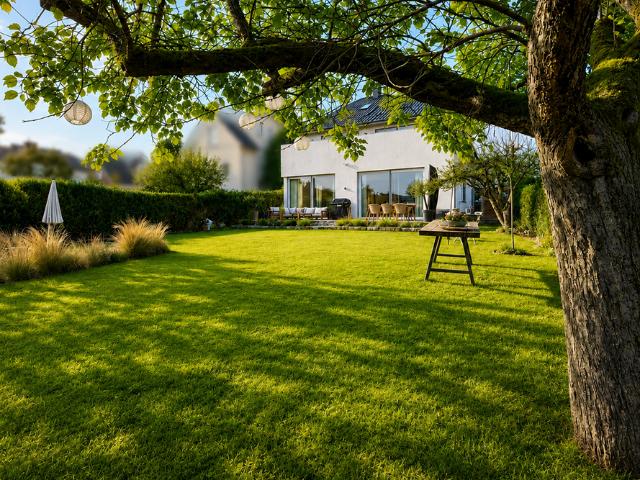 Haus zum Kaufen in Bad Nauheim 1.975.000,00 EUR 285 m²