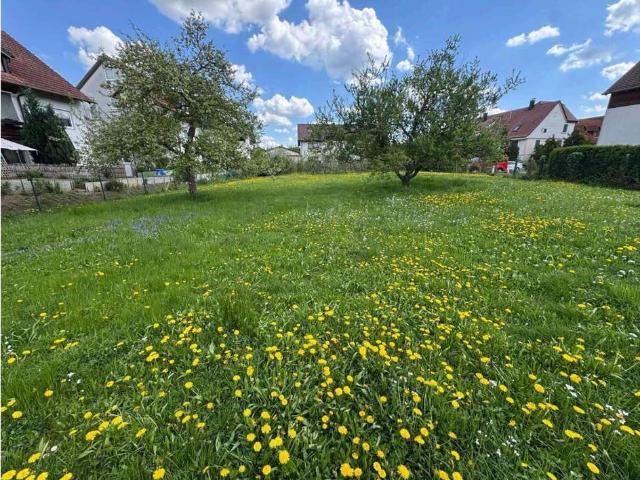Haus zum Kaufen in Bad Boll 477.629,00 EUR 113 m²