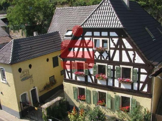 Haus zum Kaufen in Bad Dürkheim 490.000,00 EUR 250 m²
