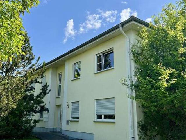 Haus zum Kaufen in Bad Hersfeld 469.000,00 EUR 288 m²