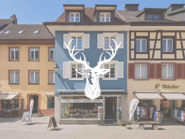 Haus zum Kaufen in Bad Säckingen 750.000,00 EUR 310 m²