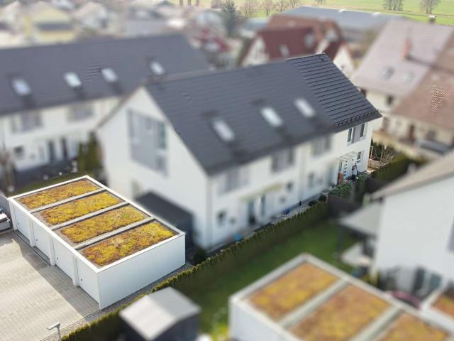 Haus zum Kaufen in Bad Waldsee 579.000,00 EUR 136 m²
