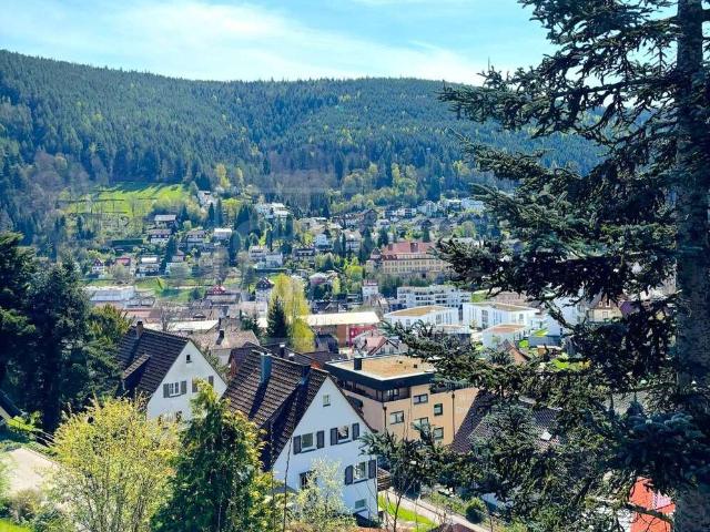 Haus zum Kaufen in Bad Wildbad im Schwarzwald 590.000,00 EUR 318 m²