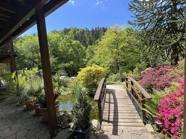 Haus zum Kaufen in Badenweiler 795.000,00 EUR 291.53 m²