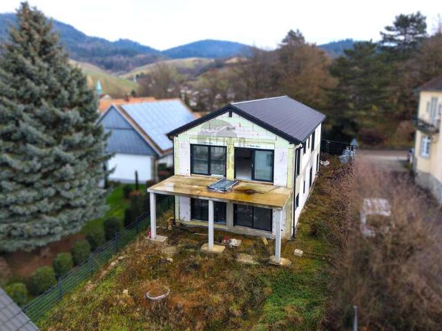 Haus zum Kaufen in Baden Baden Neuweier 1.050.000,00 EUR 325 m²