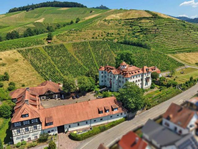 Haus zum Kaufen in Baden Baden Neuweier 6.200.000,00 EUR 4400 m²