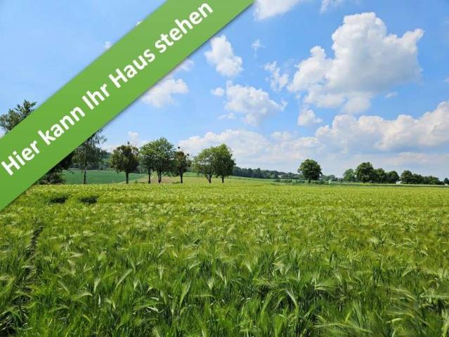 Haus zum Kaufen in Bennigsen 378.450,00 EUR 109 m²