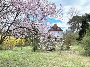 Haus zum Kaufen in Bergholz Rehbrücke 699.000,00 EUR 250 m²