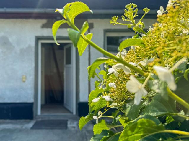 Haus zum Kaufen in Berlin 295.000,00 EUR 50 m²