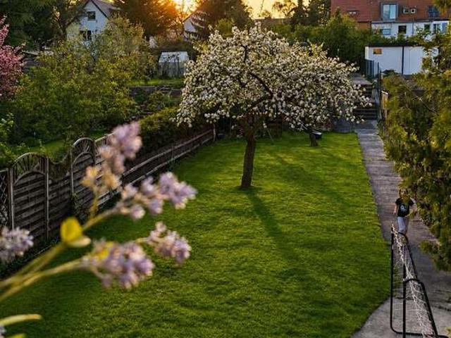 Haus zum Kaufen in Berlin 2.190.000,00 EUR 221 m²