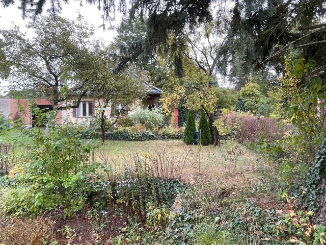 Haus zum Kaufen in Berlin 340.000,00 EUR 64 m²