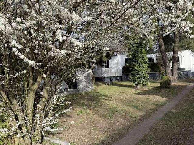Haus zum Kaufen in Berlin 599.000,00 EUR 157 m²