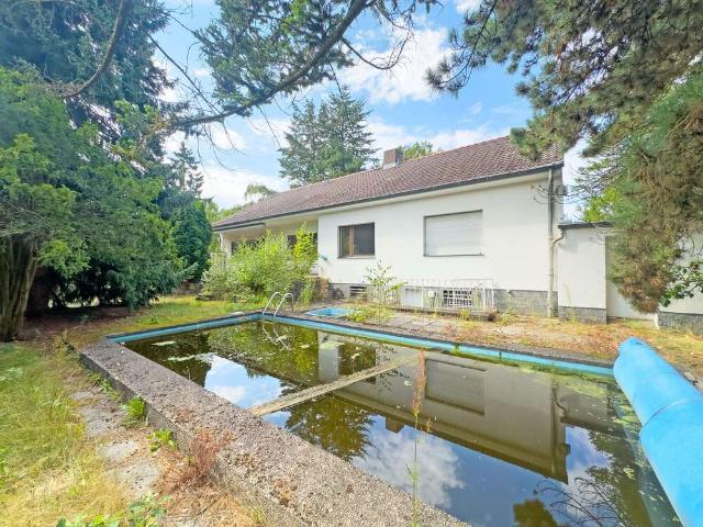Haus zum Kaufen in Berlin 769.000,00 EUR 190 m²