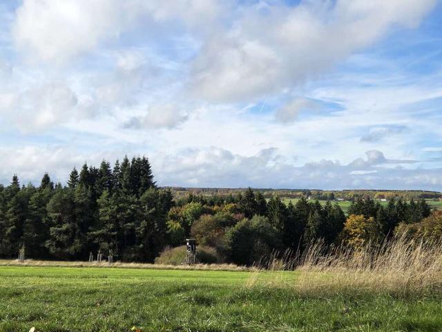 Haus zum Kaufen in Blankenheim 590.000,00 EUR 200 m²
